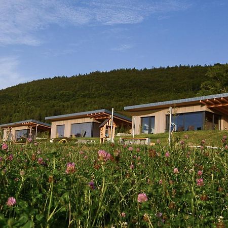 Villa An Webers Stoag Geisingen Exterior foto