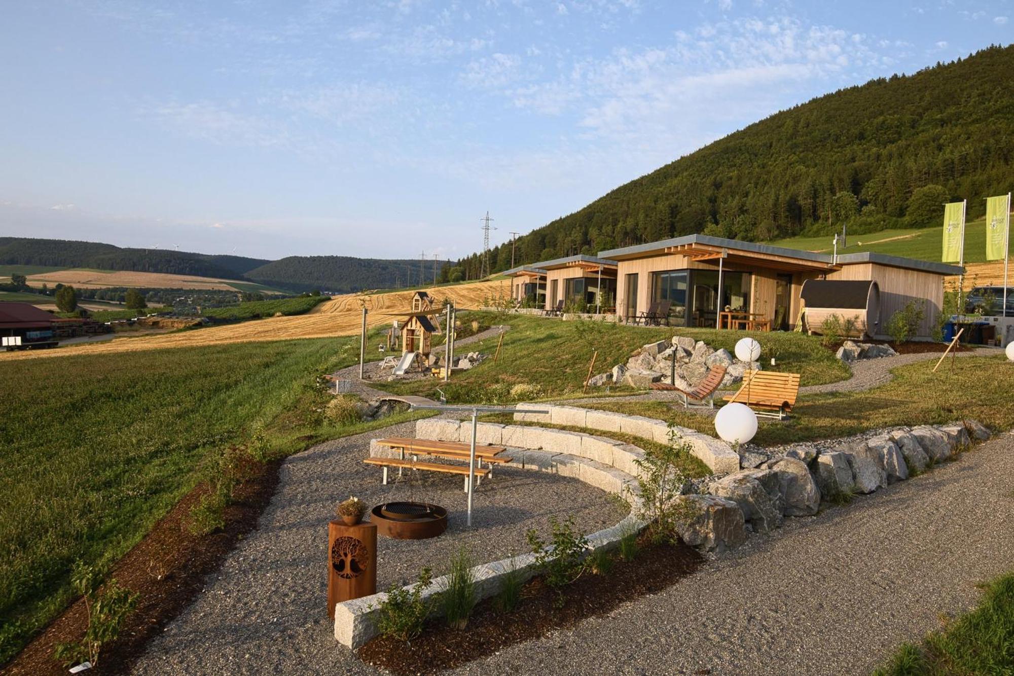 Villa An Webers Stoag Geisingen Exterior foto