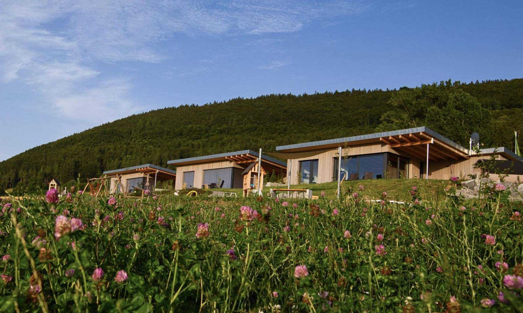Villa An Webers Stoag Geisingen Exterior foto